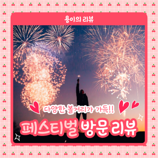 페스티벌 방문리뷰 (카드뉴스)