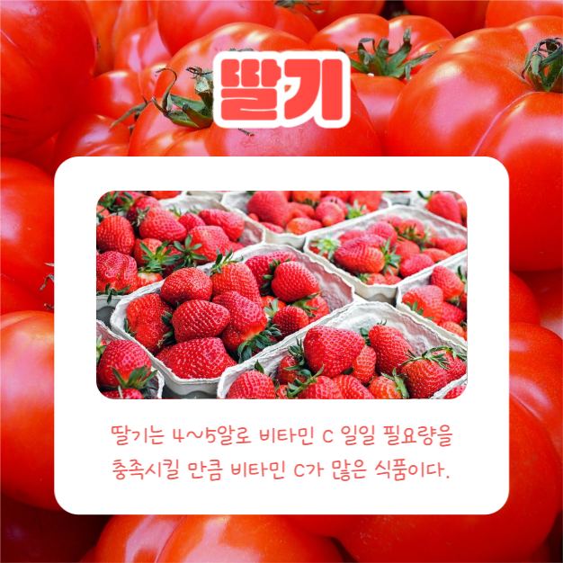 레드푸드 4가지 (카드뉴스)