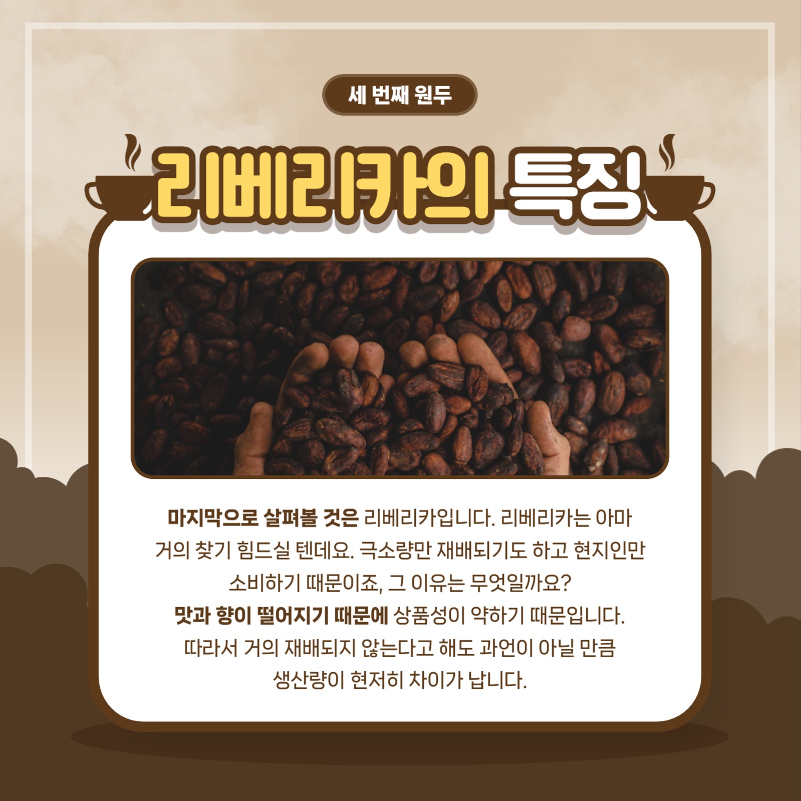 원두의 종류와 특징
