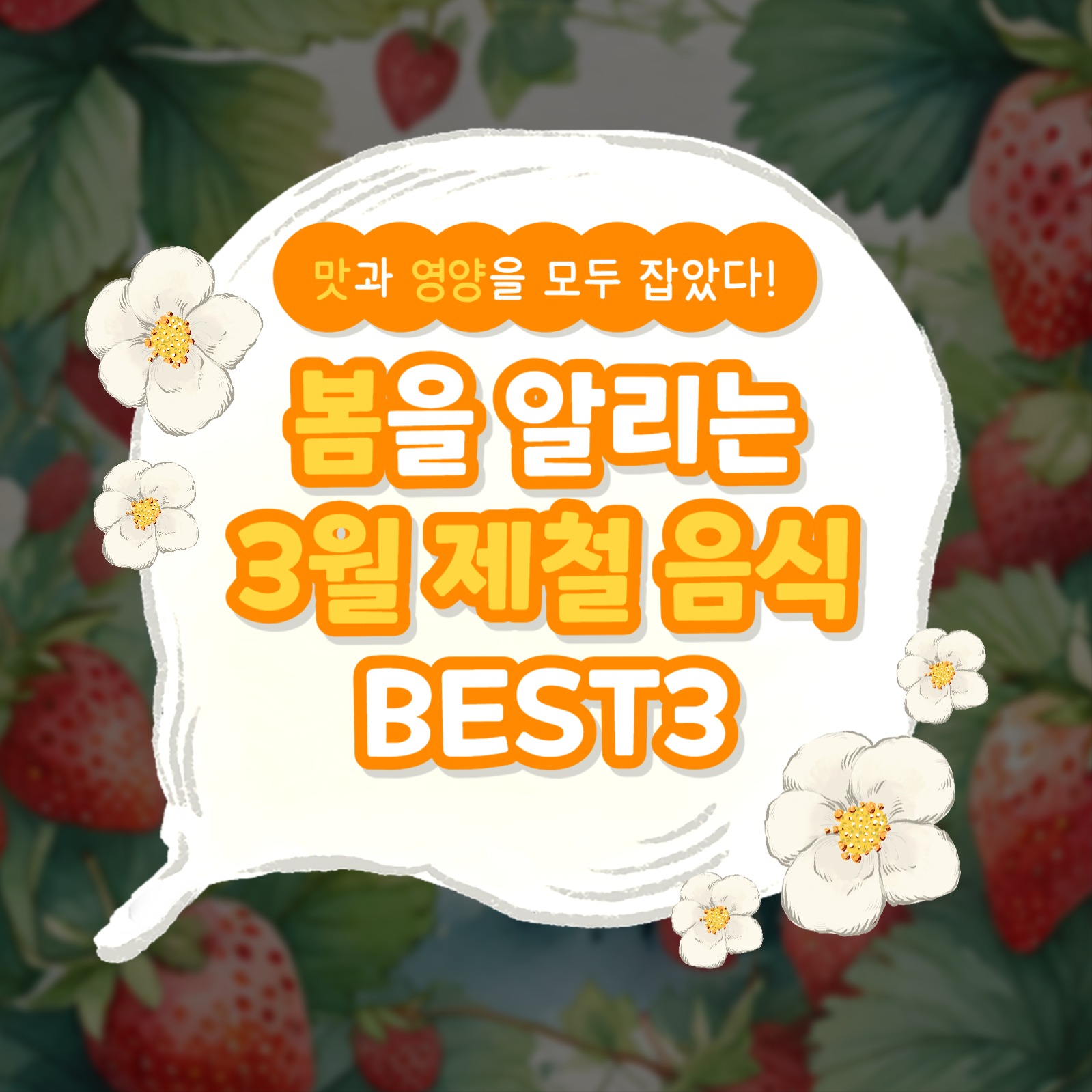 봄 제철 음식 카드뉴스