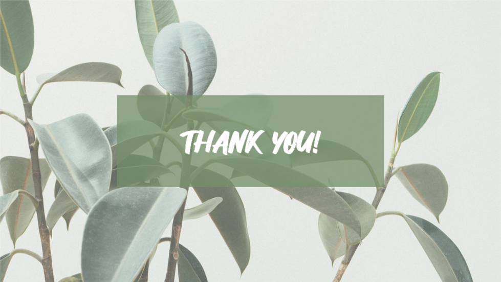 식물 조사 피피티