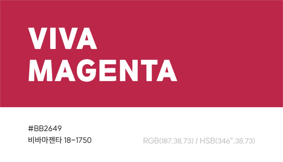 비바마젠타 명함