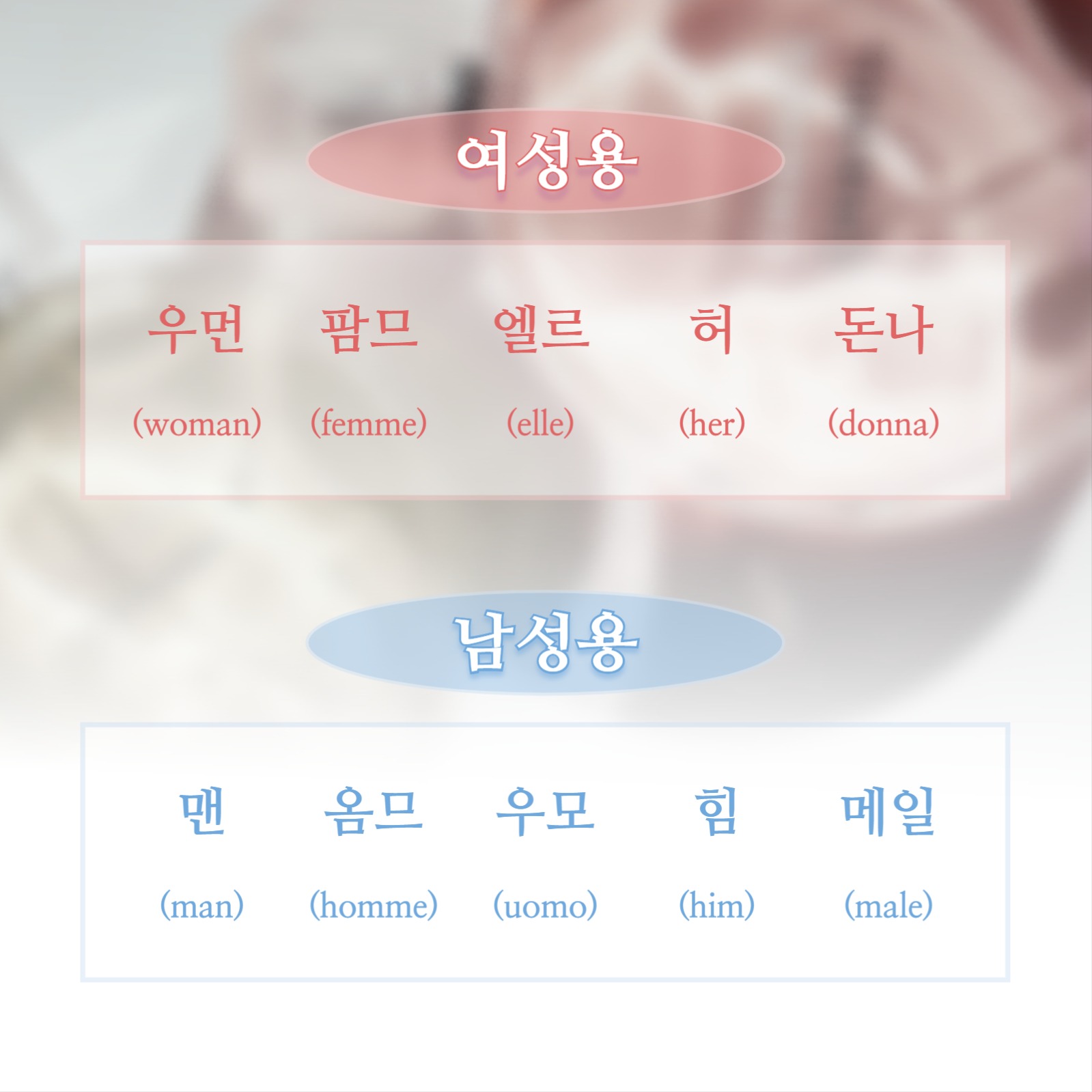 향수 용어 정리