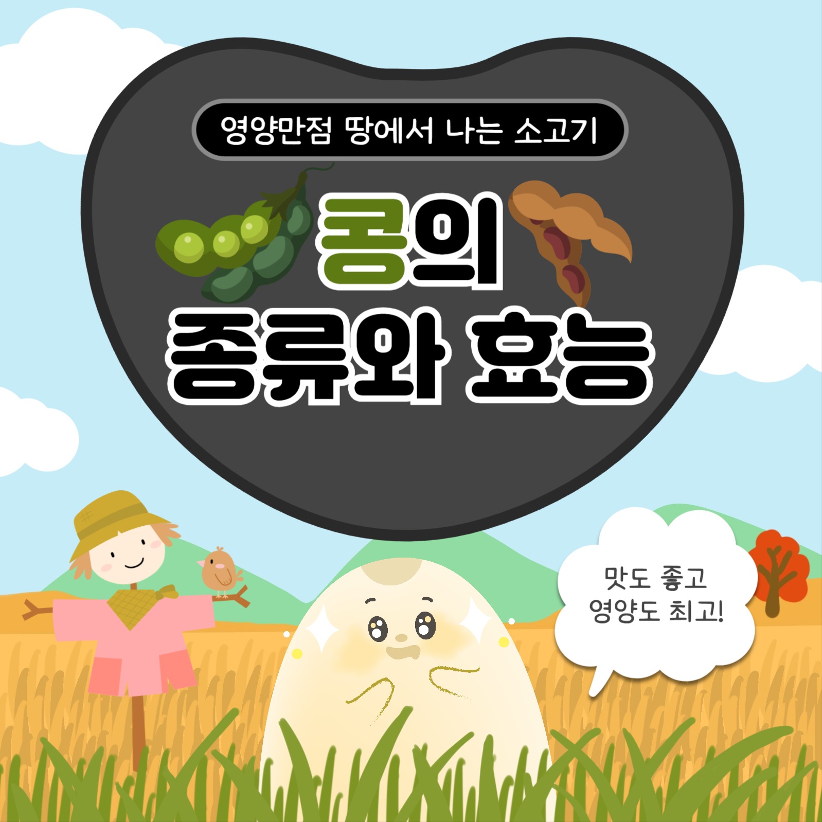 콩의 종류와 효능 카드뉴스