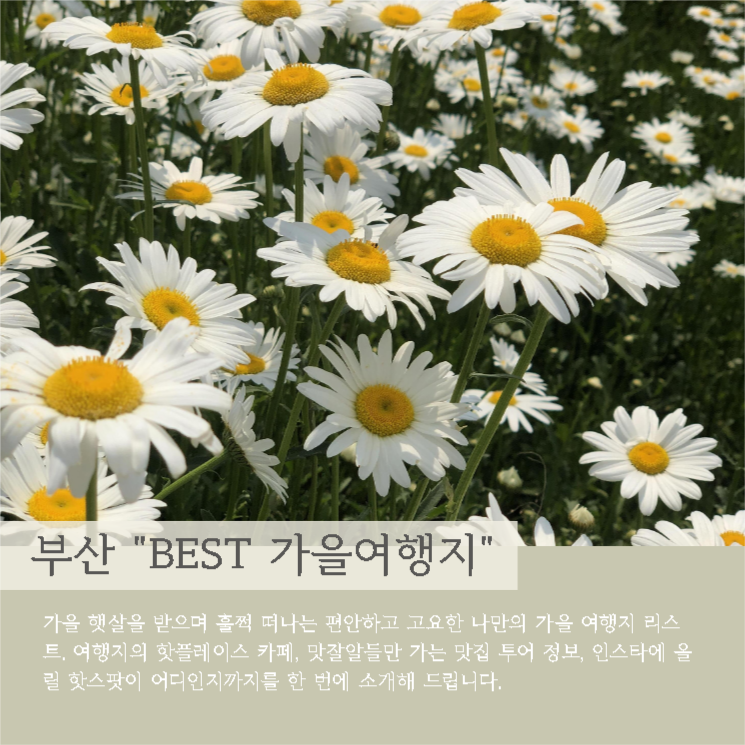 부산 best 가을여행지를 소개합니다