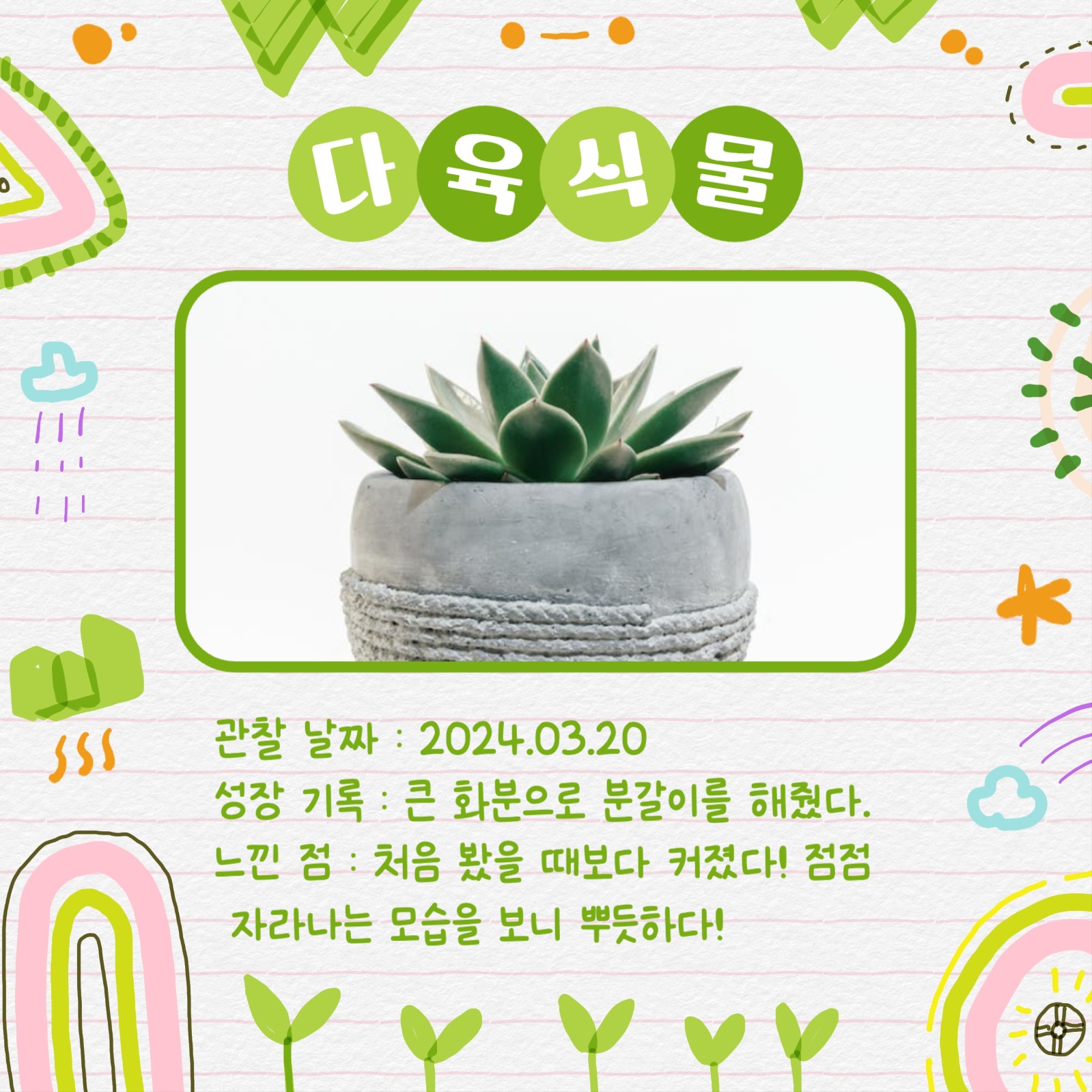 반려식물 관찰일지 카드뉴스