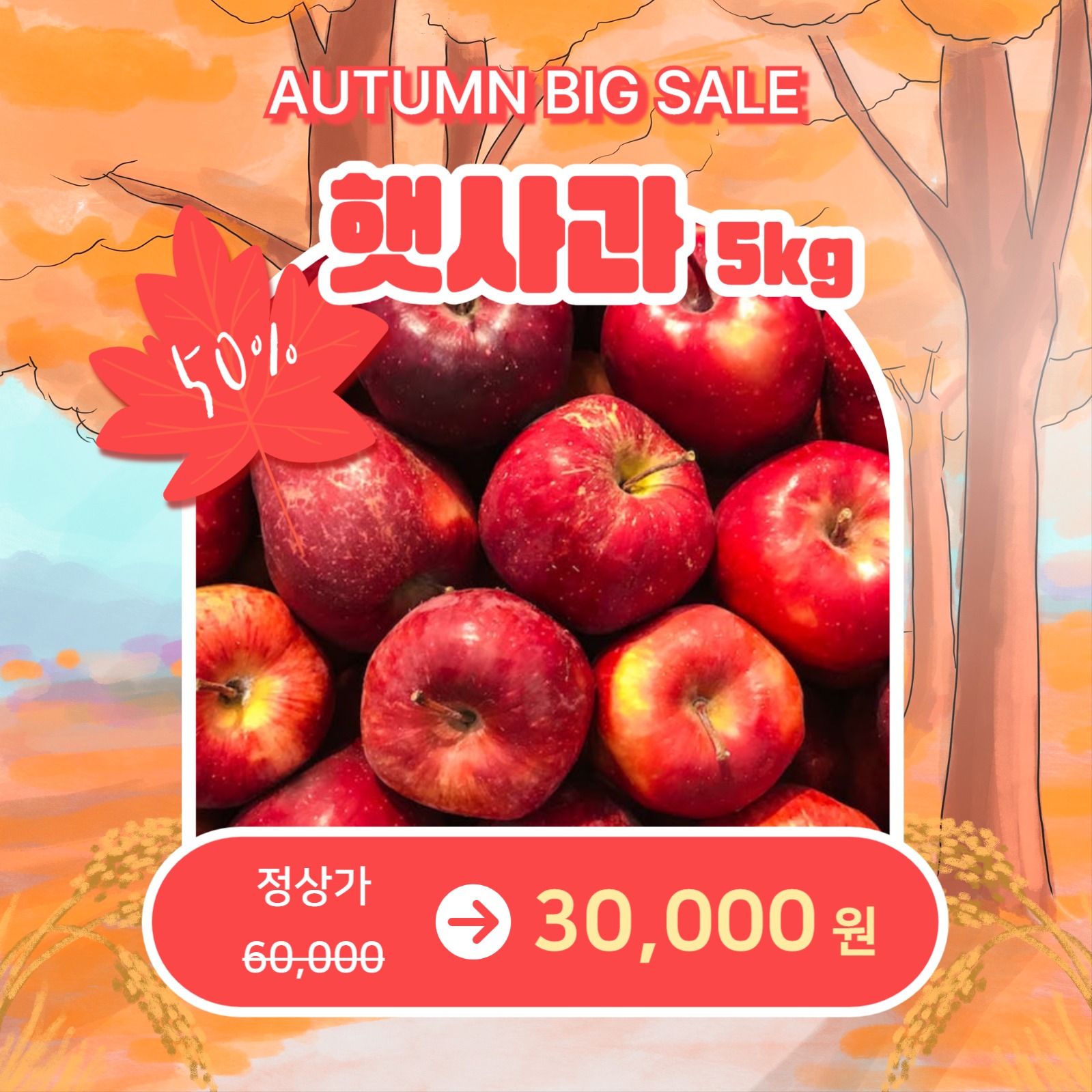 가을맞이 특별할인 (카드뉴스)