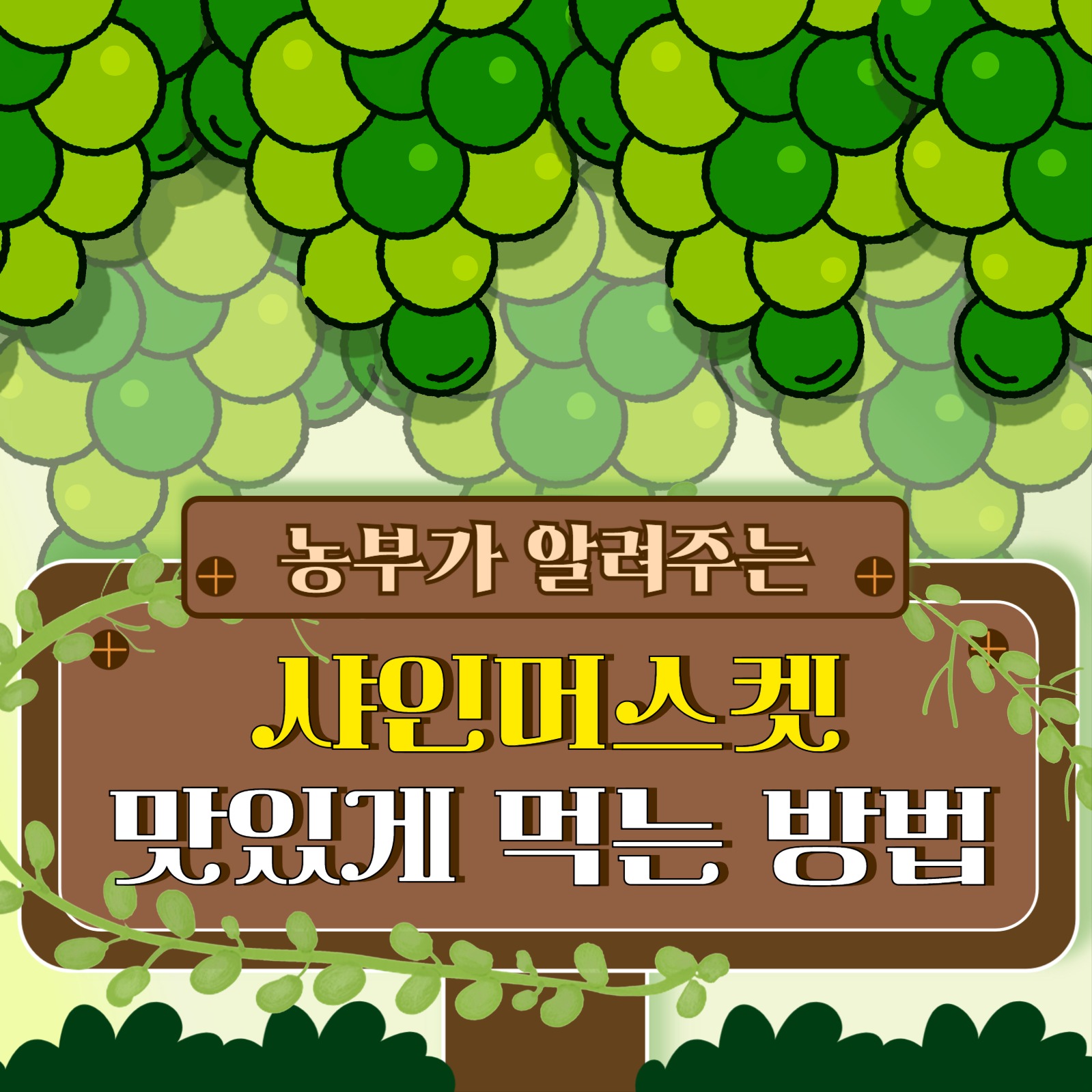 과일 맛있게 먹는 방법