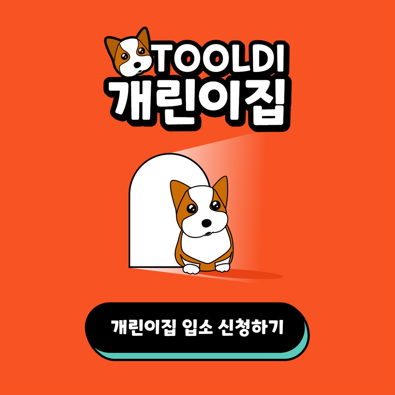 툴디 개린이집 카드뉴스