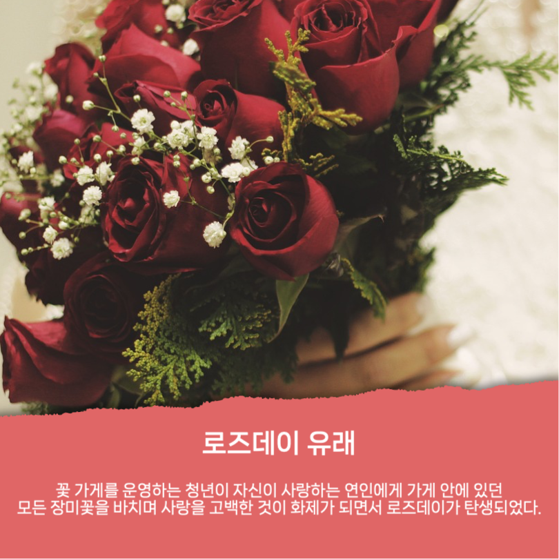 로즈데이 유래와 장미꽃 꽃말 카드뉴스