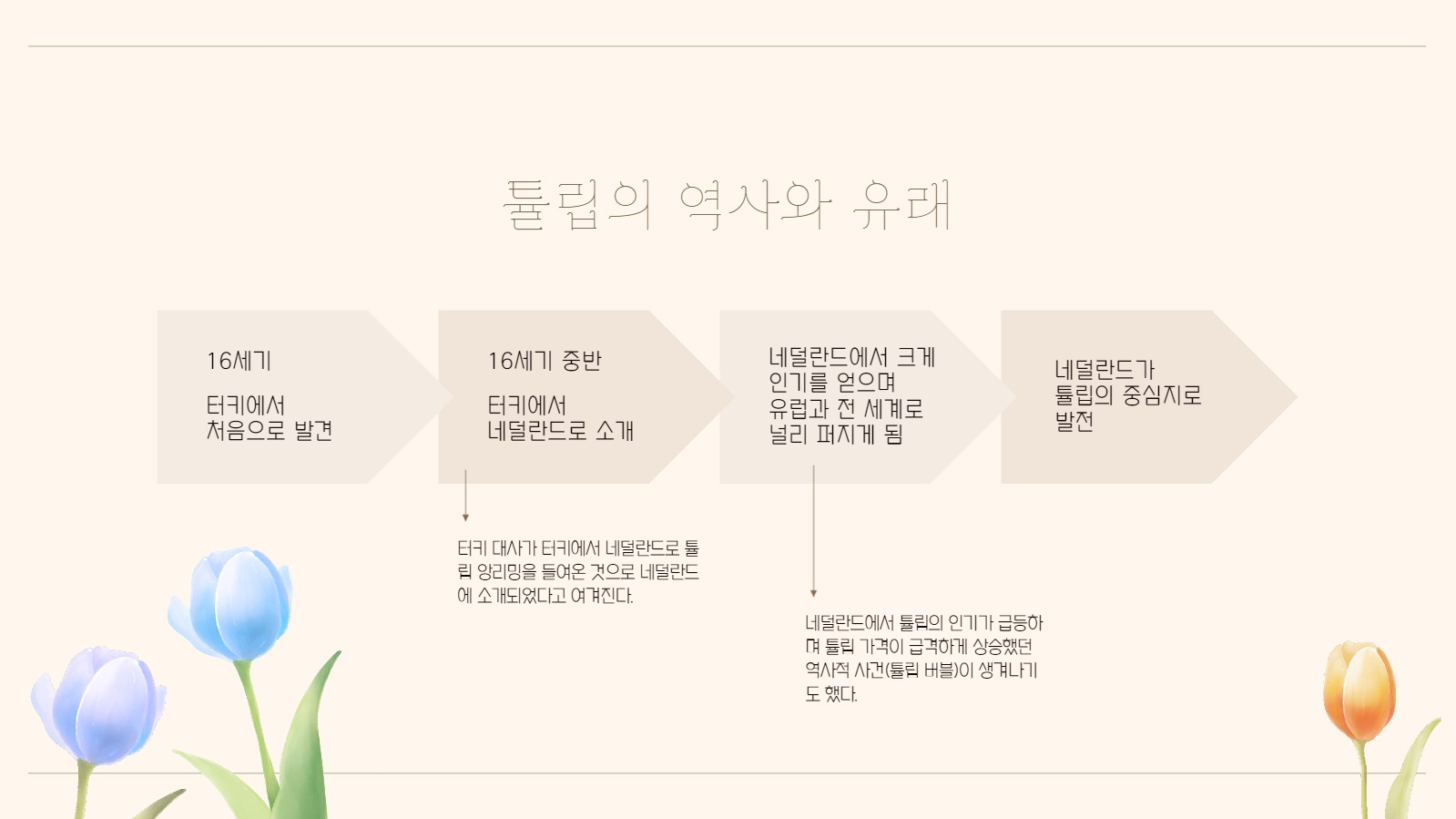 튤립 테마 프레젠테이션