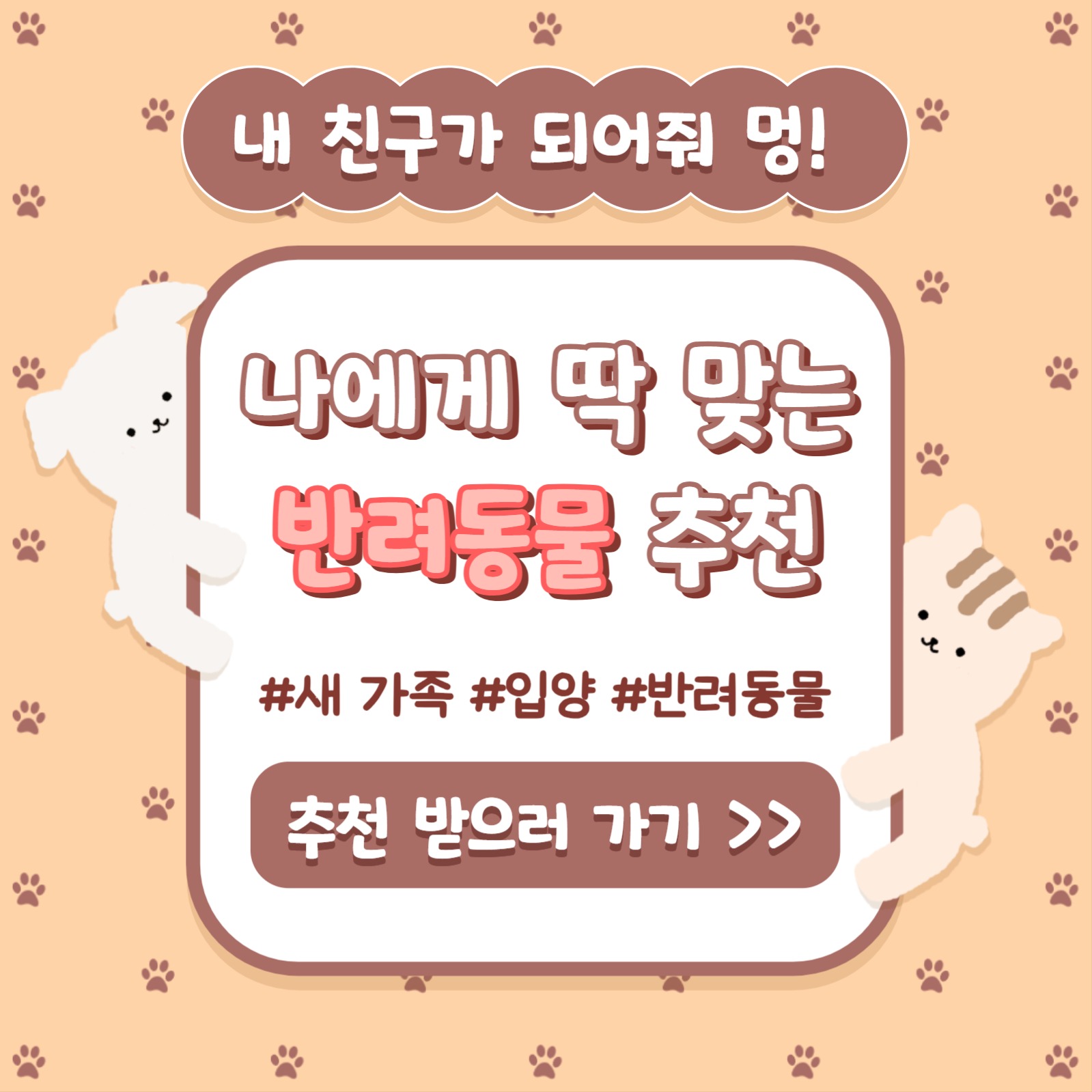 반려동물 추천 카드뉴스 