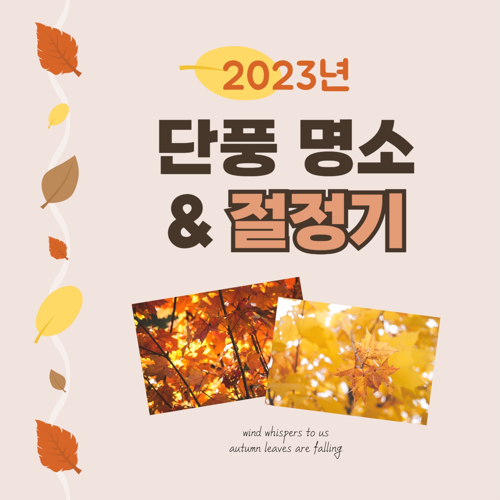 단풍 명소와 절정기 카드뉴스