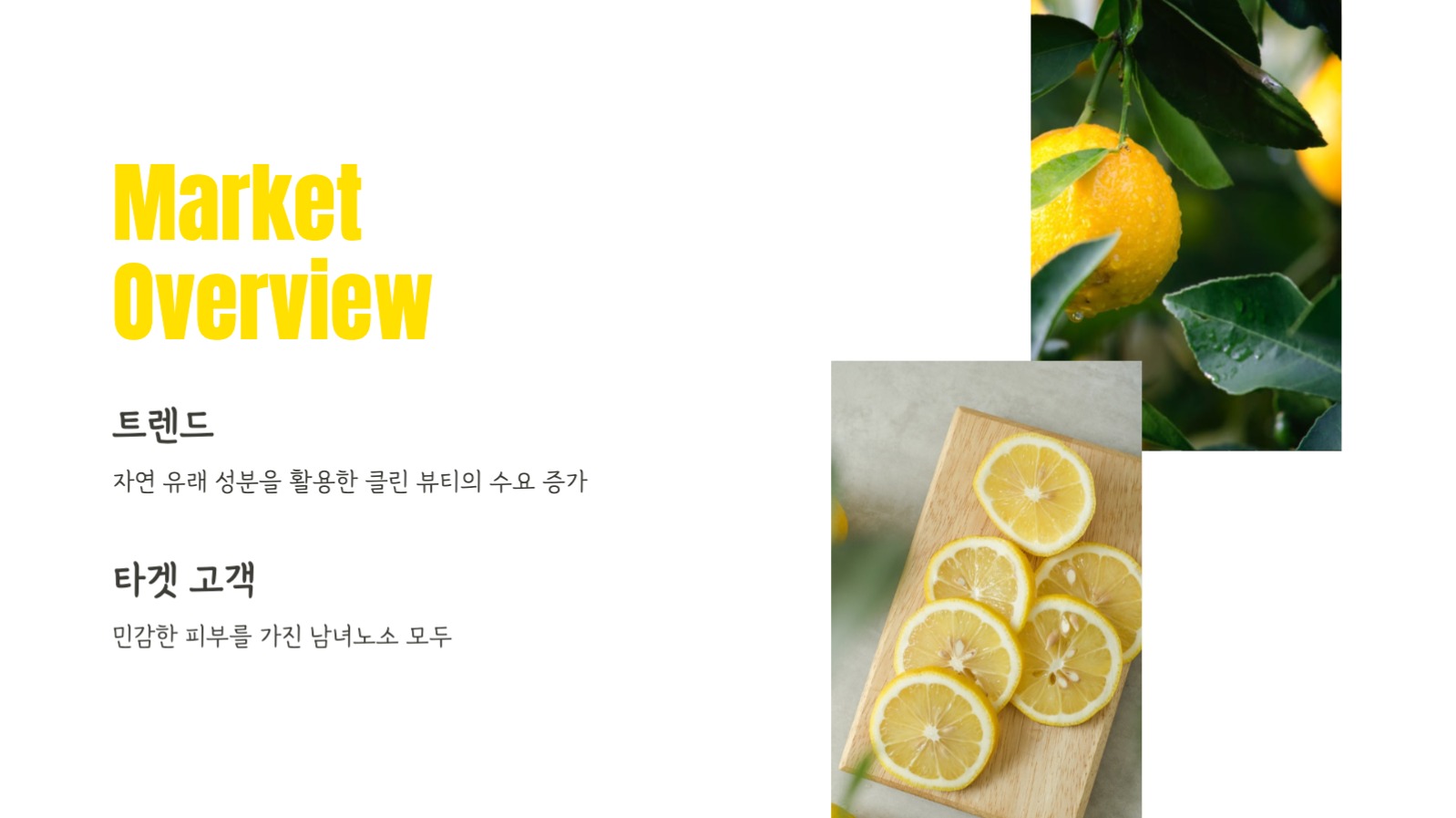 레몬 스킨 케어 화장품 기획서