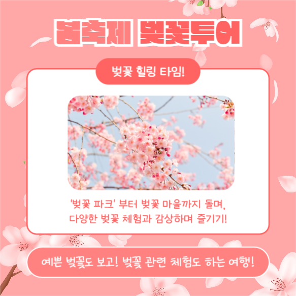 봄축제 벚꽃투어 (카드뉴스)