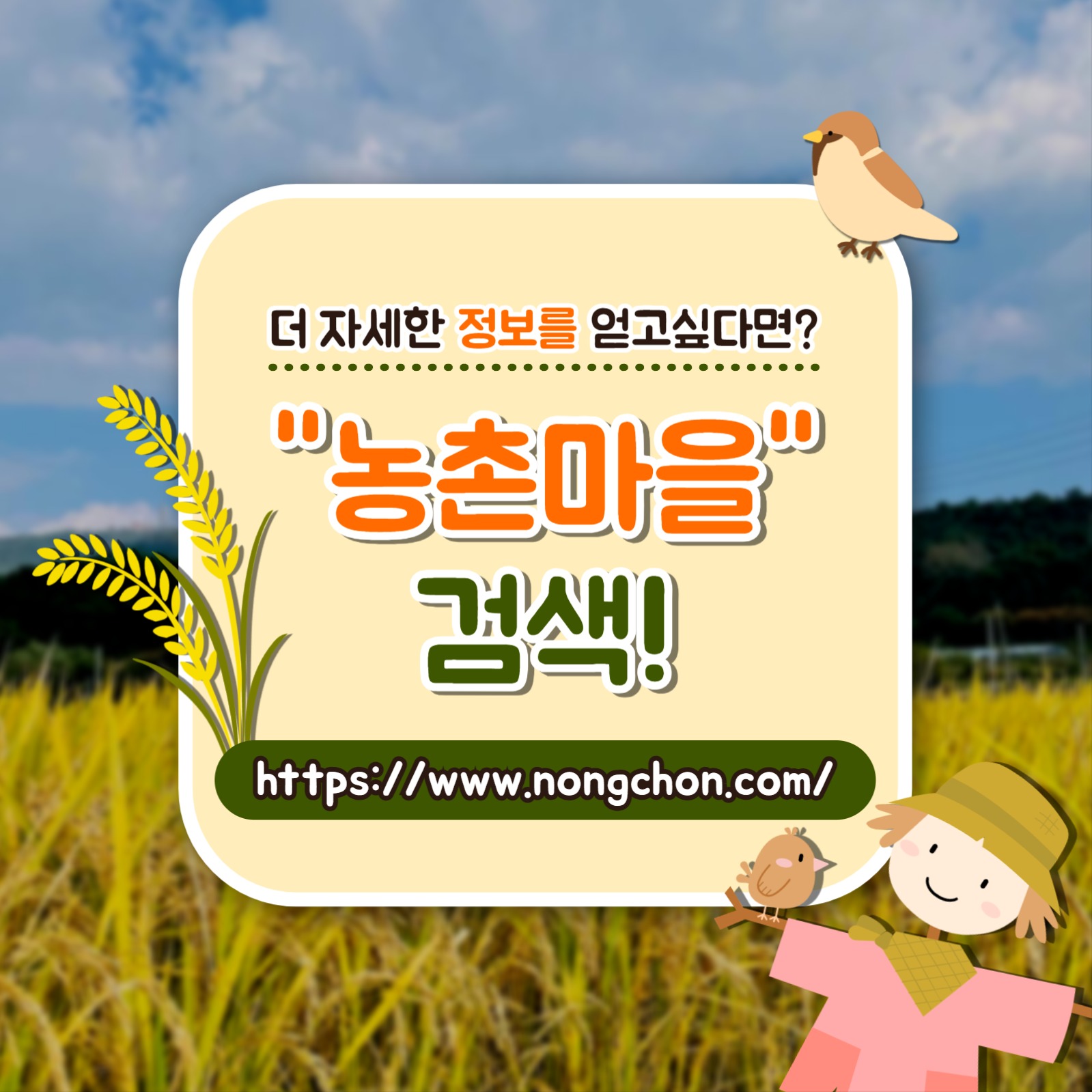 농촌에서 살아보기 카드뉴스