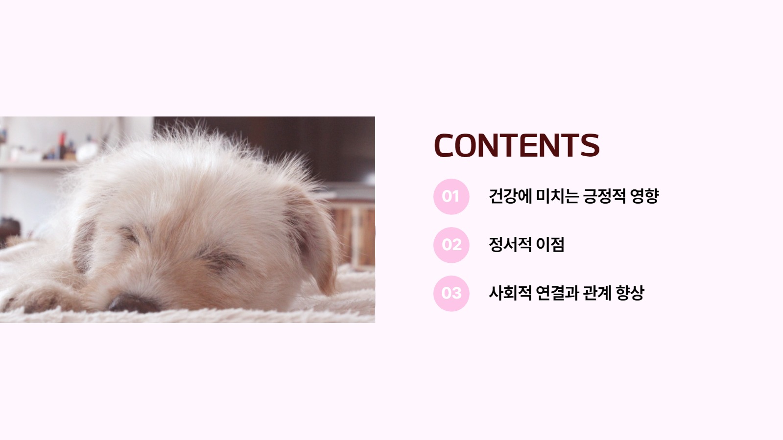 반려동물 양육의 장점