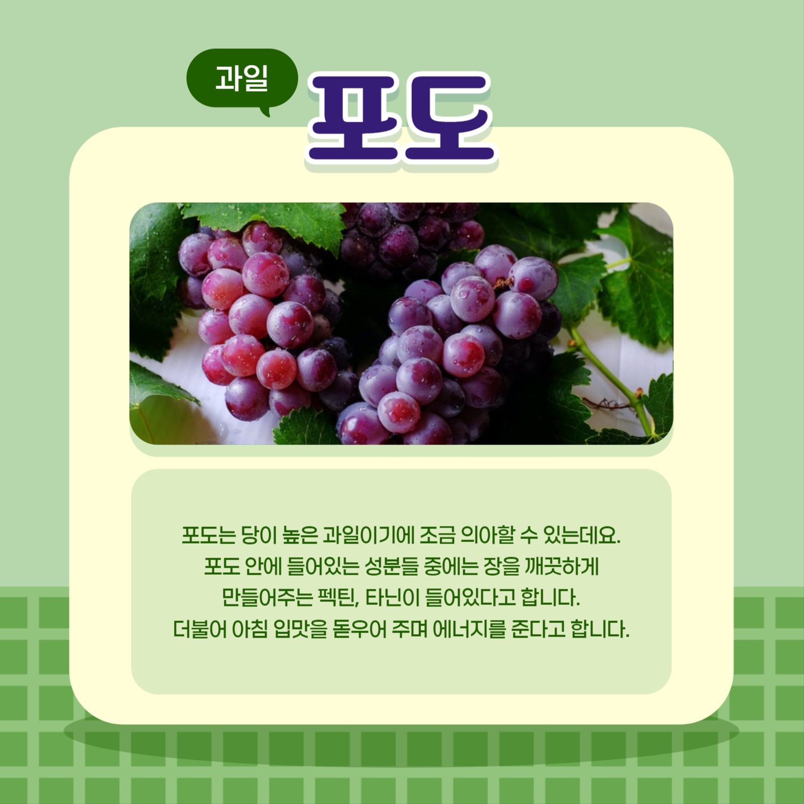 아침에 먹은 과일 야채