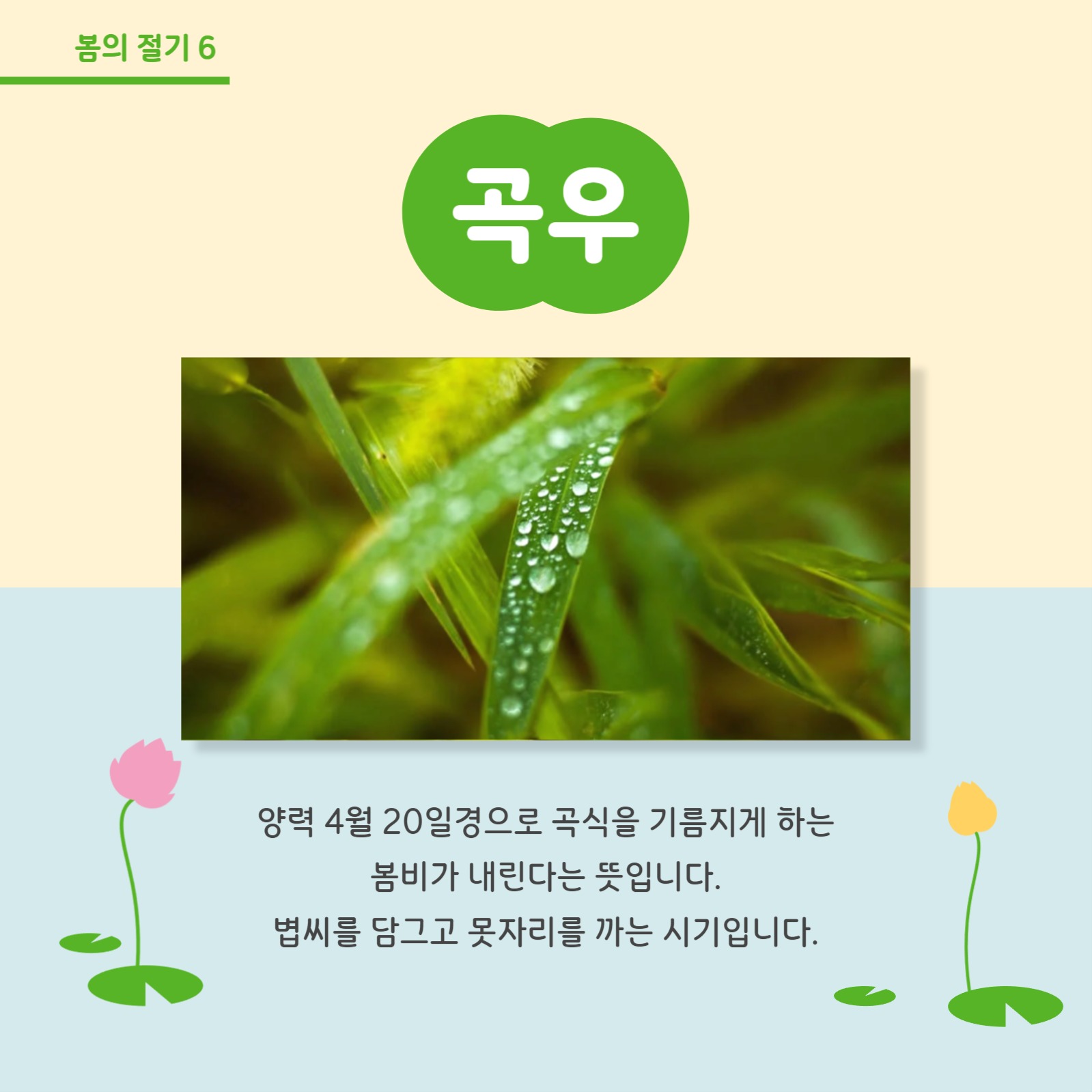 봄의 절기 알아보기 카드뉴스