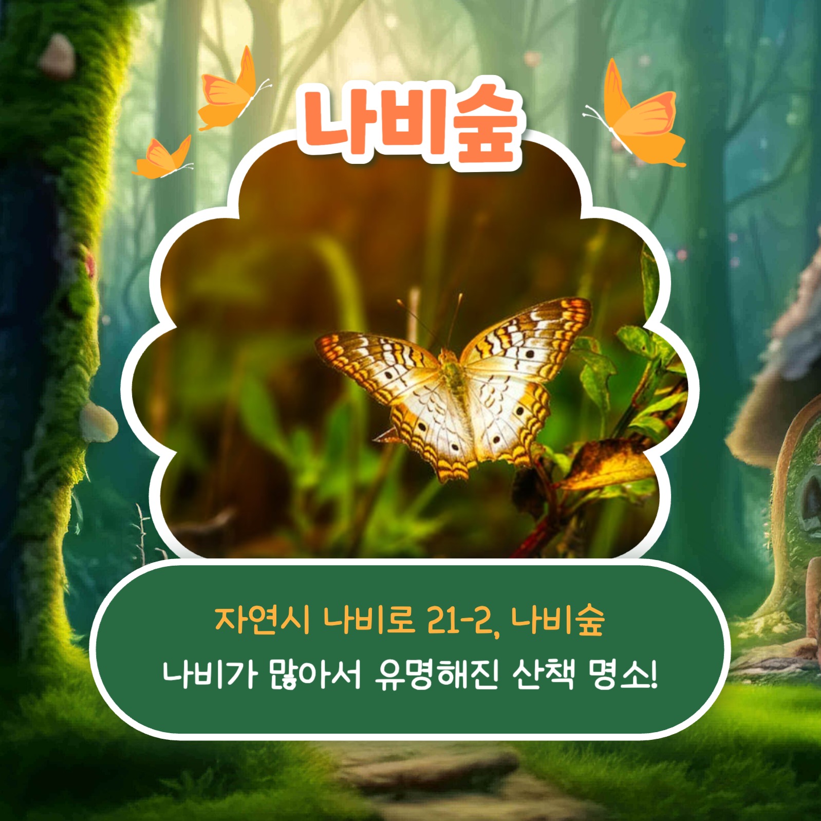 숲 추천 리스트 카드뉴스