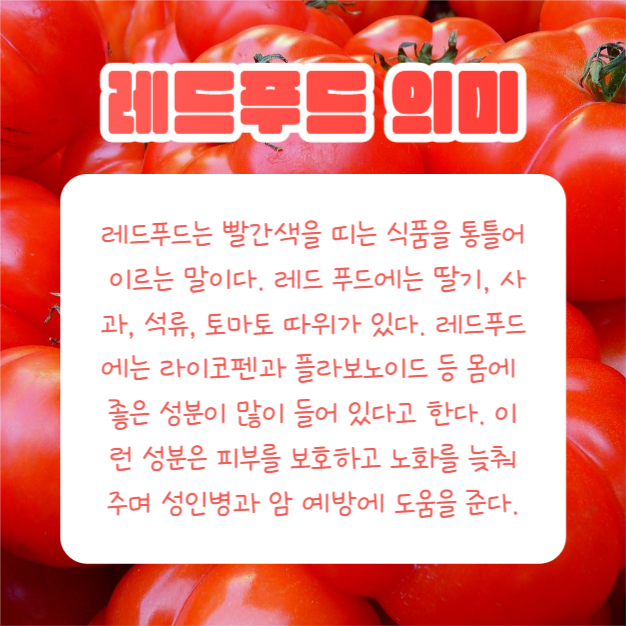 레드푸드 4가지 (카드뉴스)