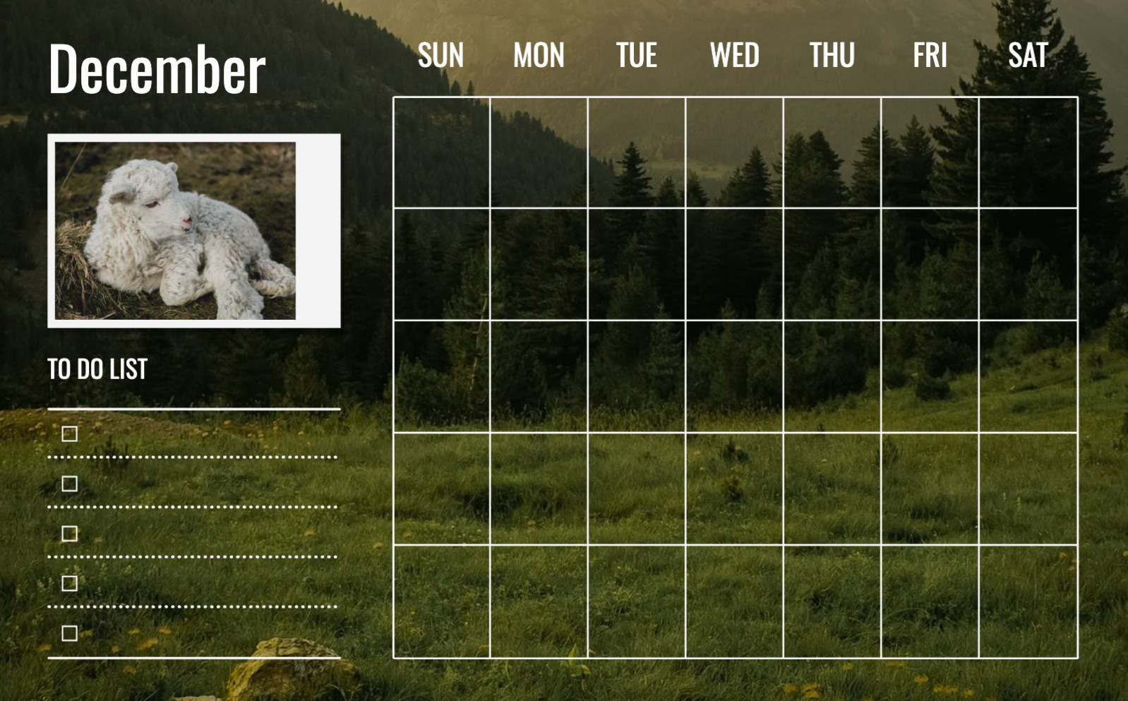 심플한 먼슬리 플래너