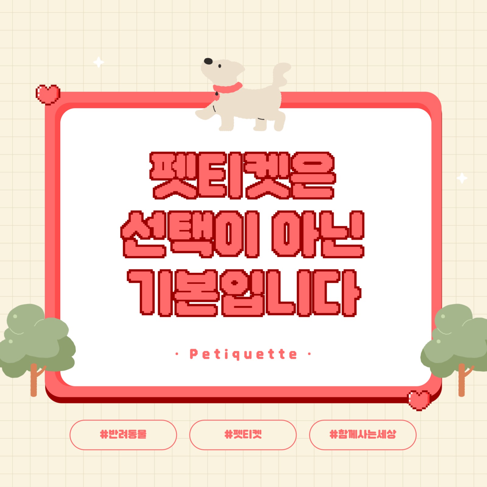 펫티켓 카드뉴스