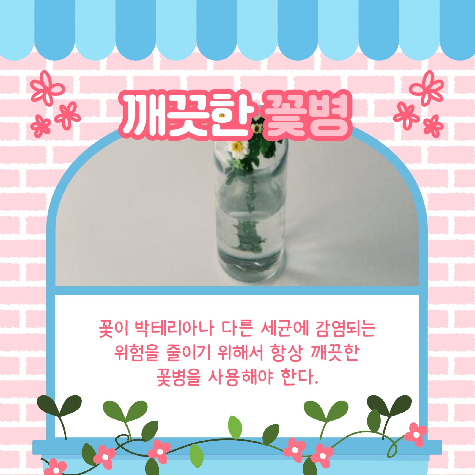꽃 유지하는 법 카드뉴스