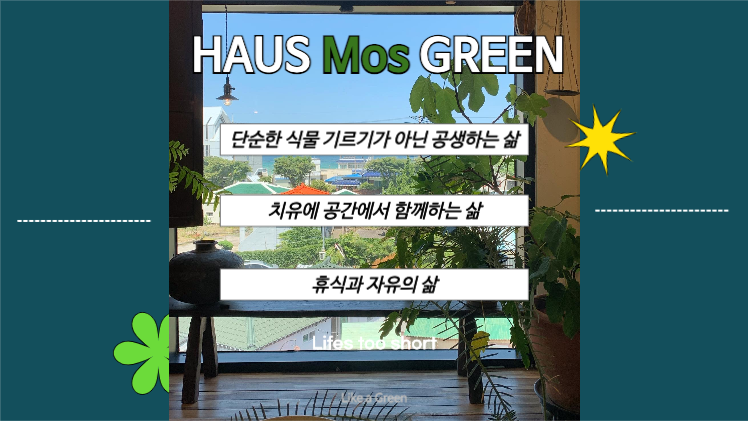 플랜테리어 인테리어 브랜딩 제안