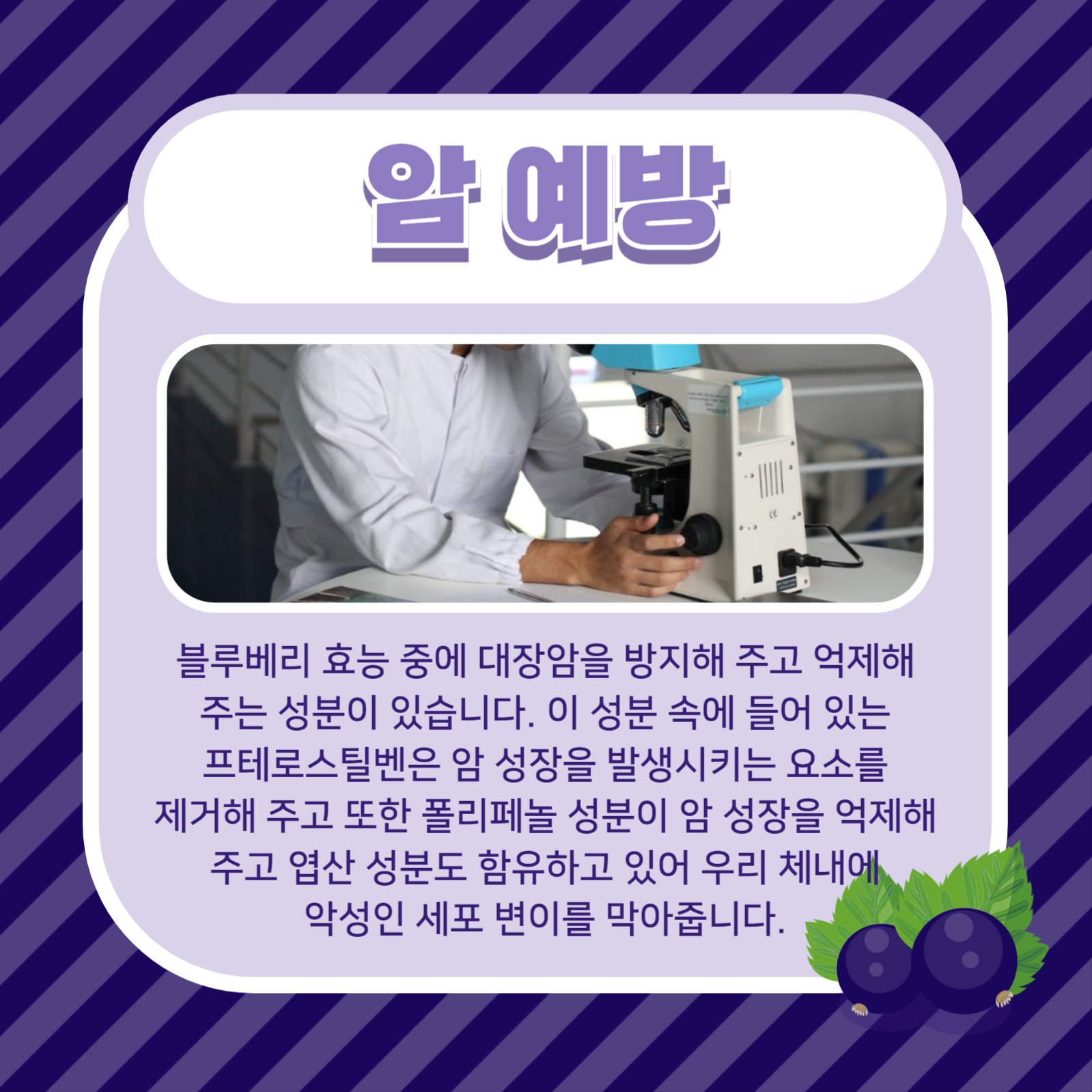 블루베리의 효능
