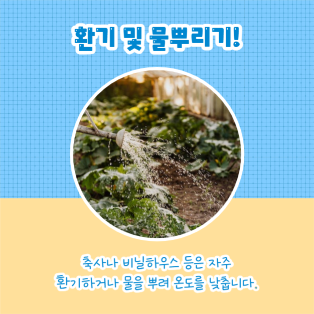 폭염 시 행동요령 (카드뉴스)