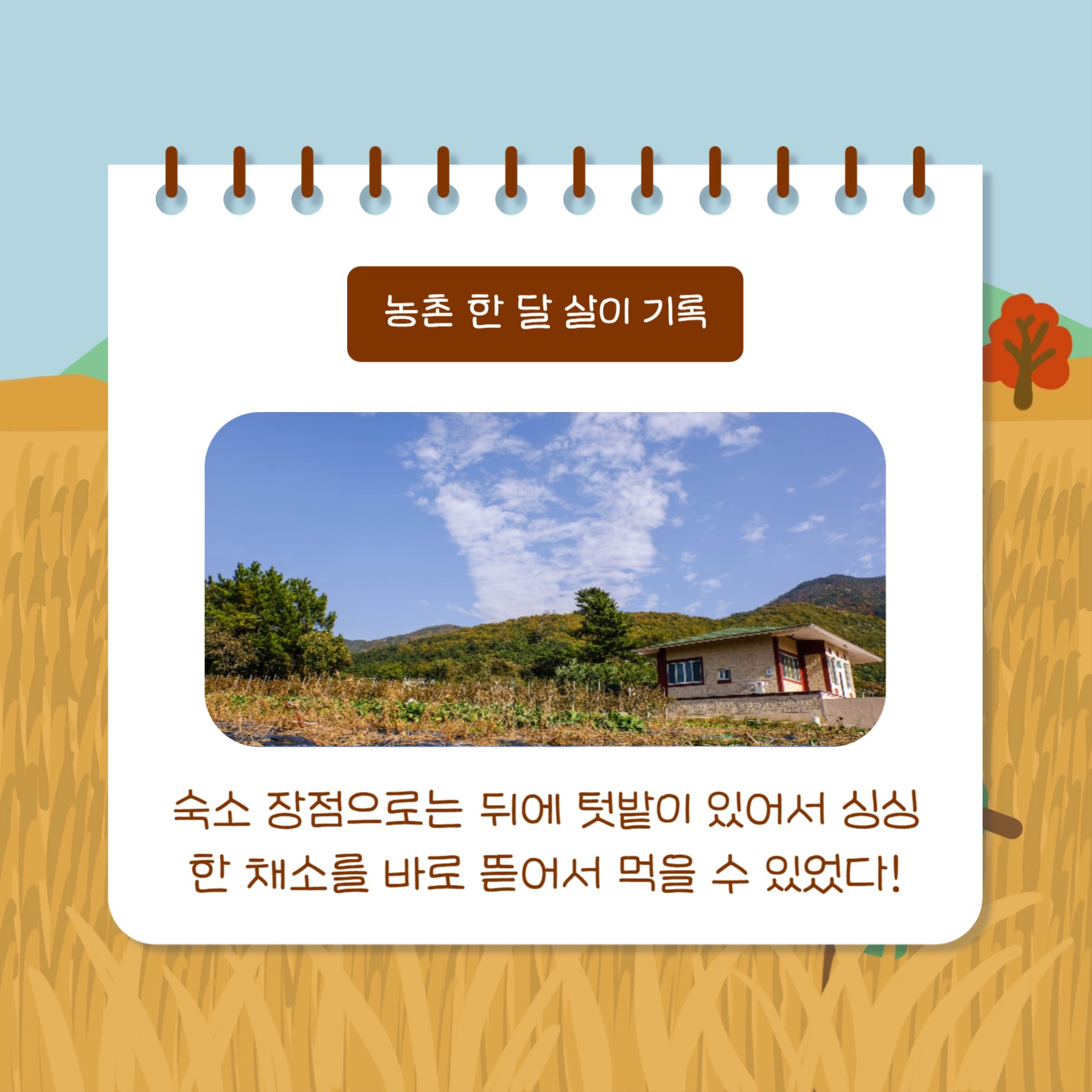 농촌살이 돌아보기 (카드뉴스)