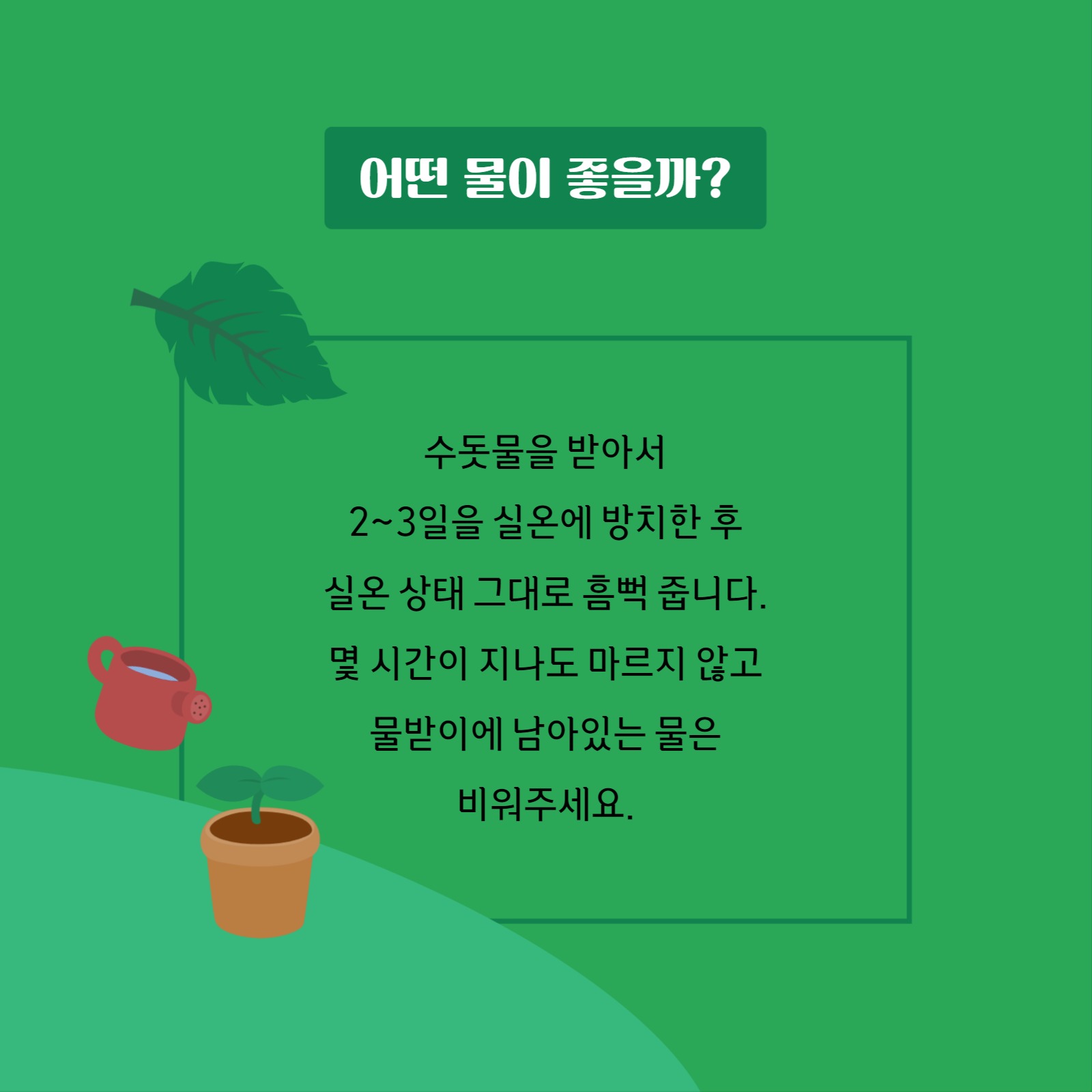 정원 가꾸기 물주기편 카드뉴스