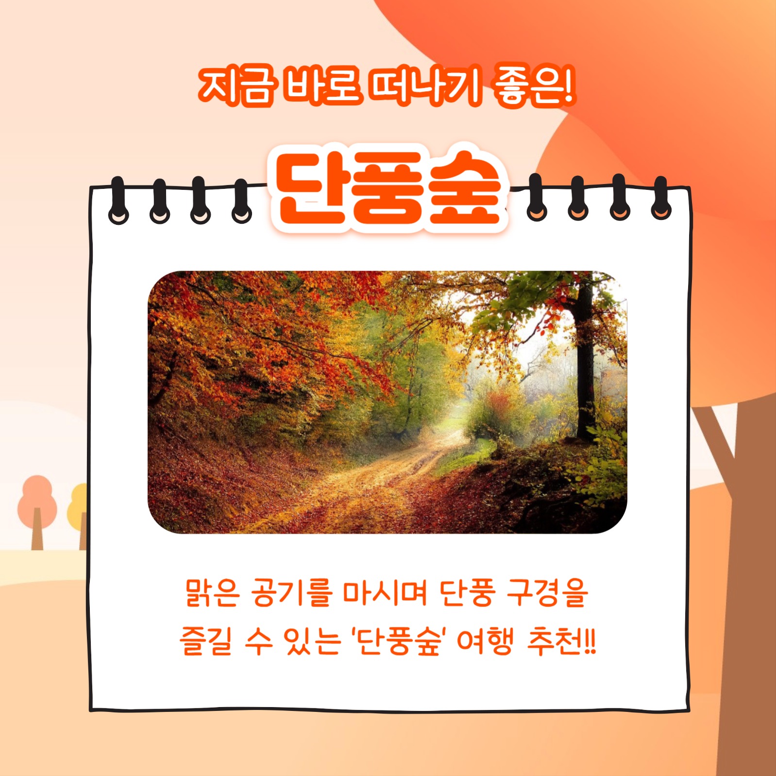 국내 가을 여행지 추천 (카드뉴스)