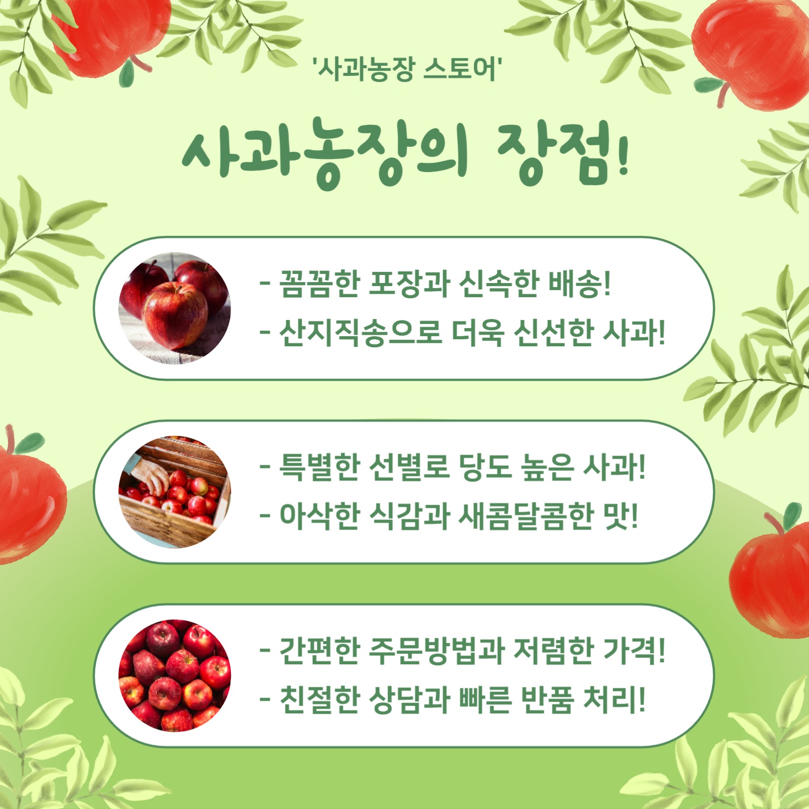 새콤달콤 제철사과 (카드뉴스)