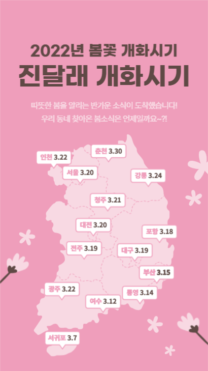 진달래 개화시기