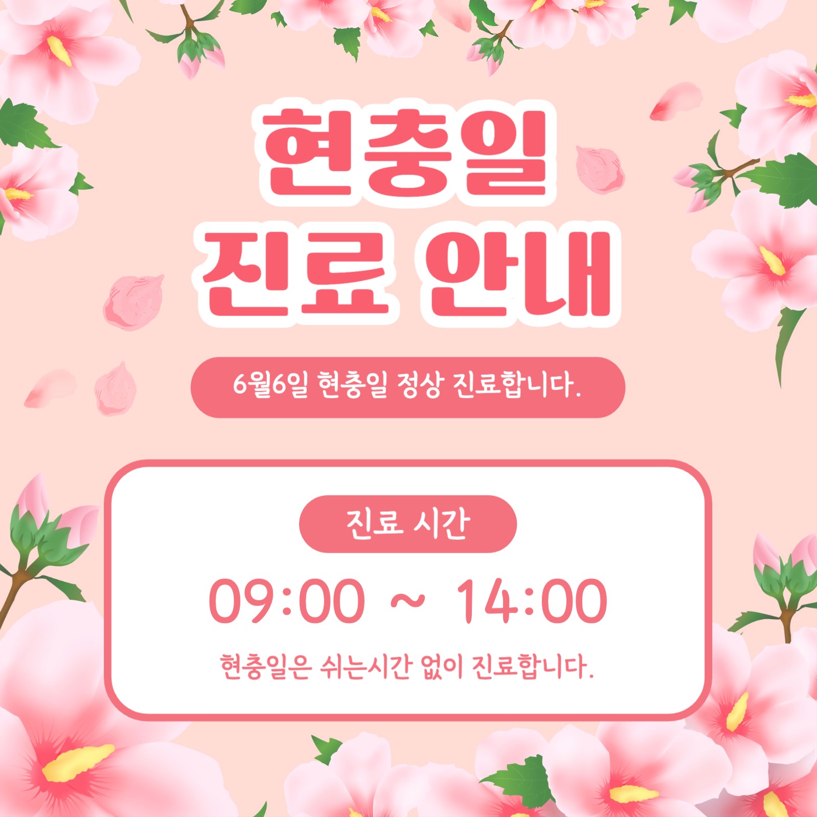 현충일 진료 안내 인스타