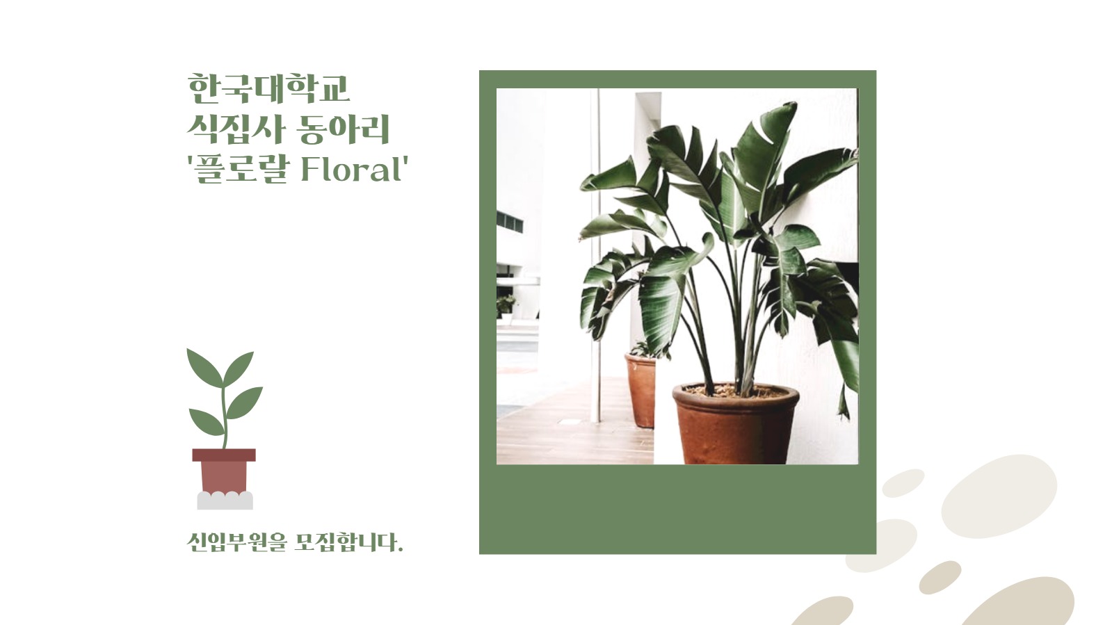 동아리 소개서 프레젠테이션