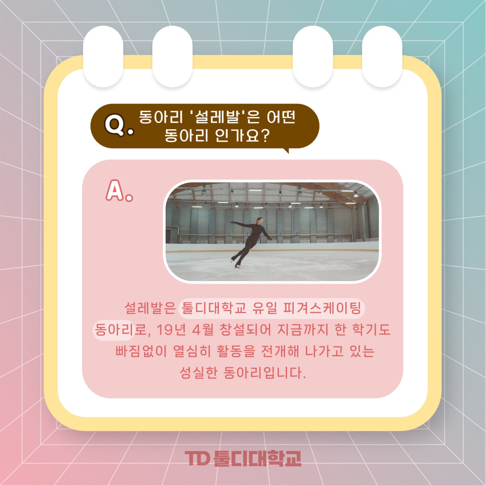 동아리 큐앤에이