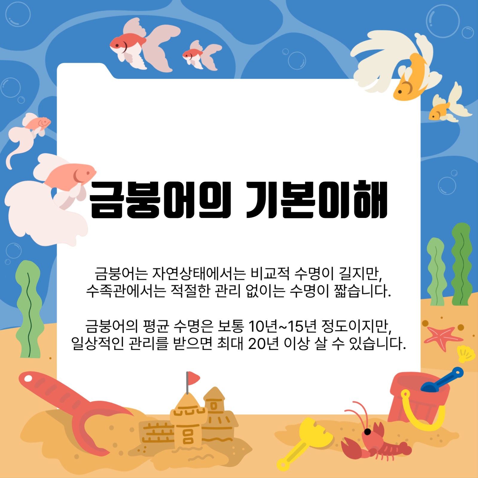 금붕어 키우기 