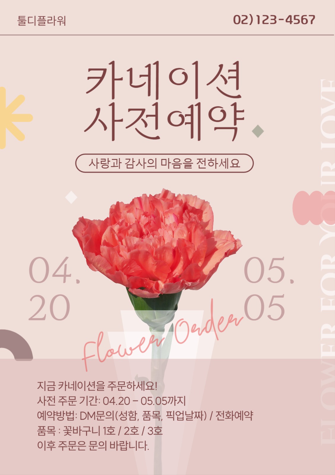 베이지색 카네이션 꽃 사전예약 주문