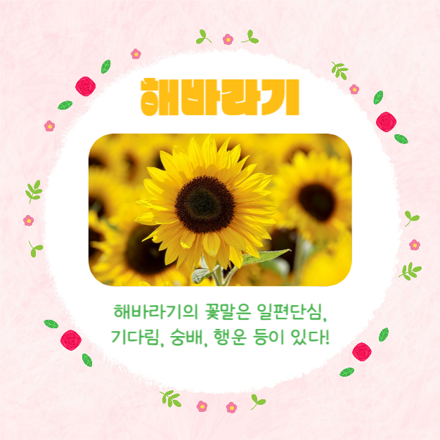 예쁜 꽃말 모음집 (카드뉴스)