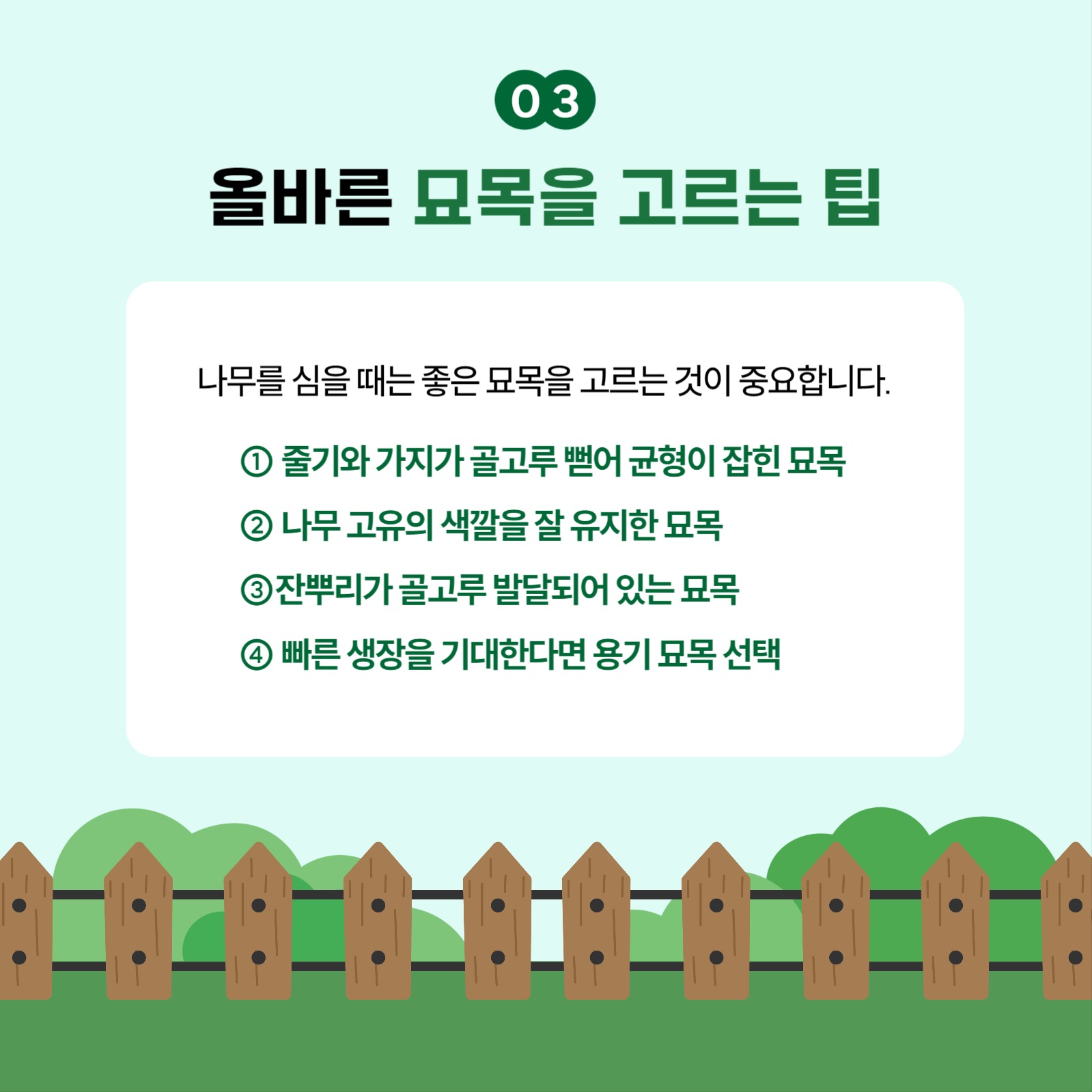 식목일 카드뉴스