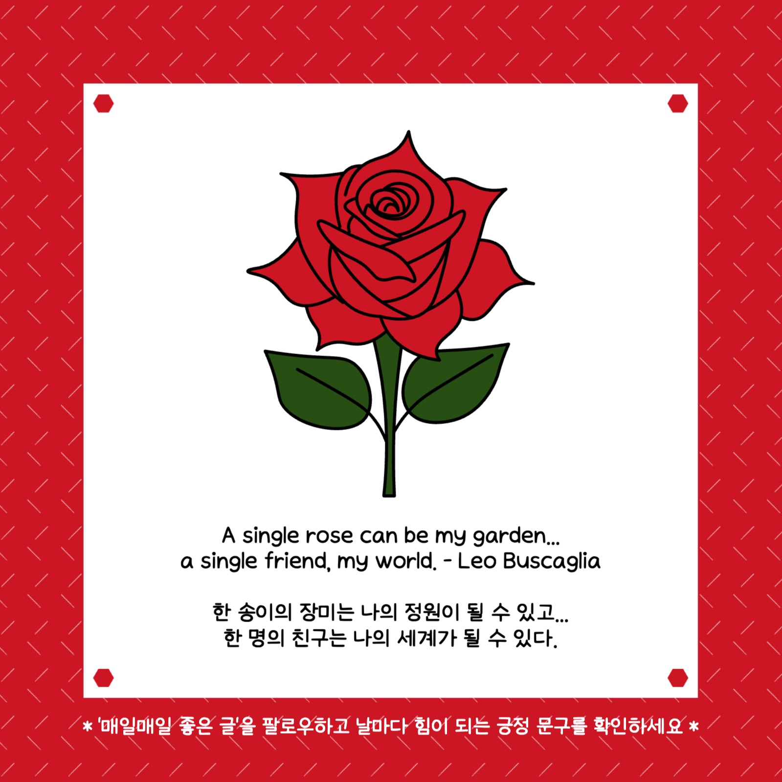 한 송이의 장미는 좋은 글 인스타그램