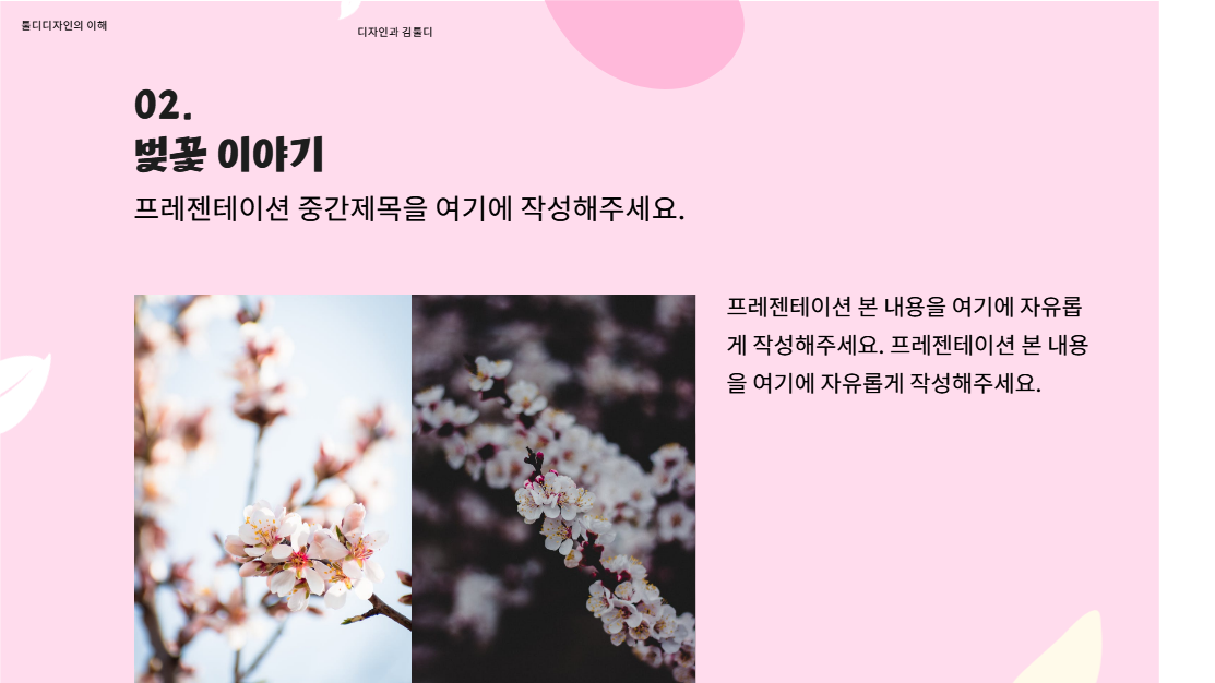 벚꽃놀이 가이드