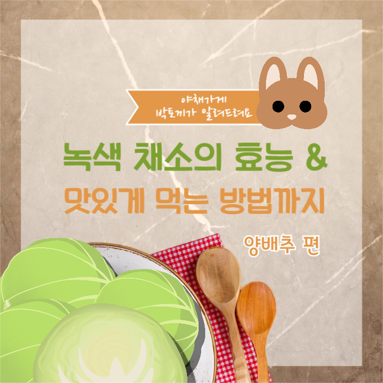 야채가게 박토끼 인스타