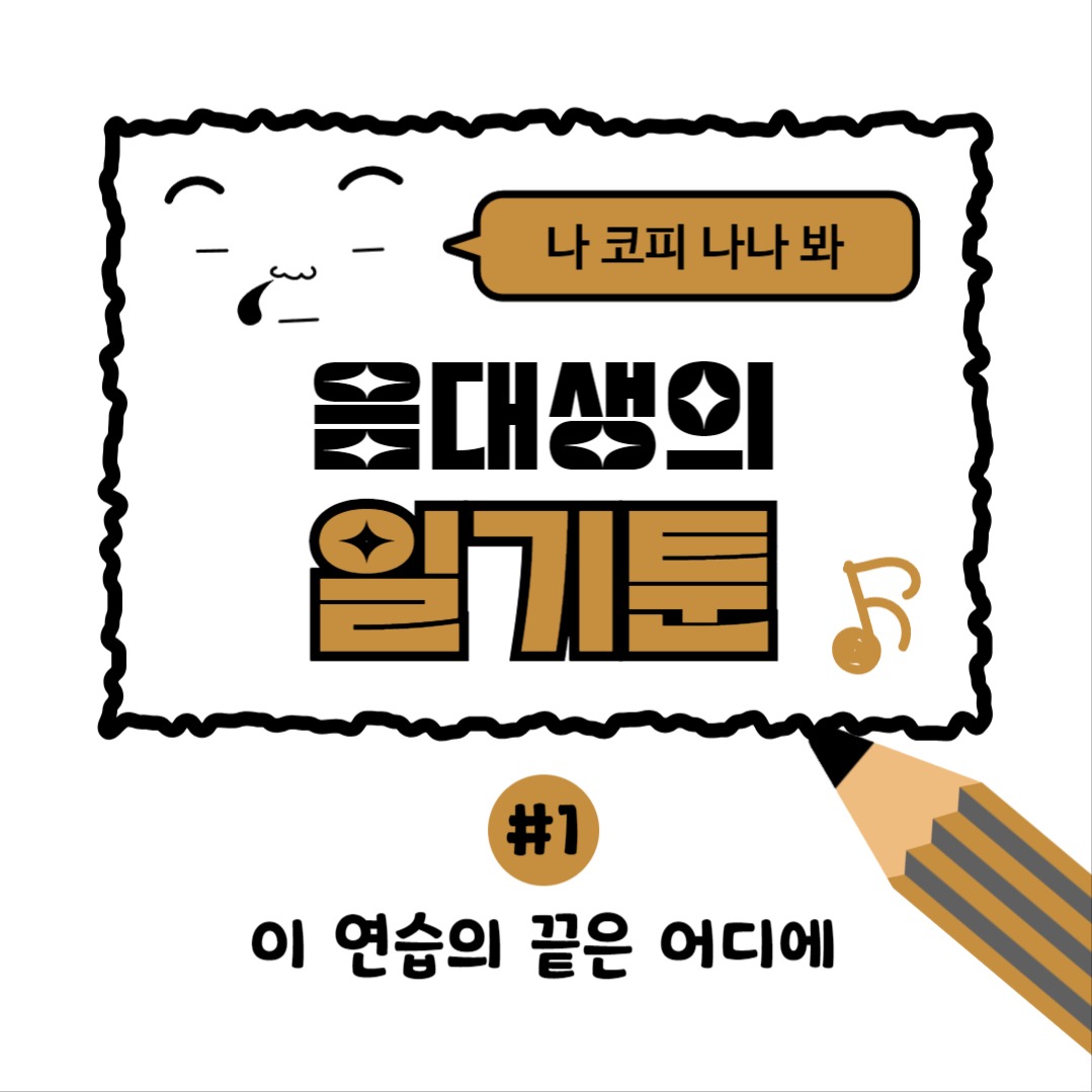 음대생의 일기툰 인스타