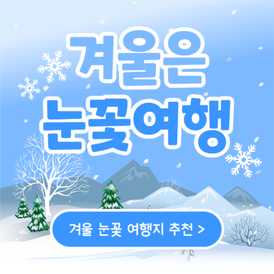 겨울은 눈꽃여행 (카드뉴스)