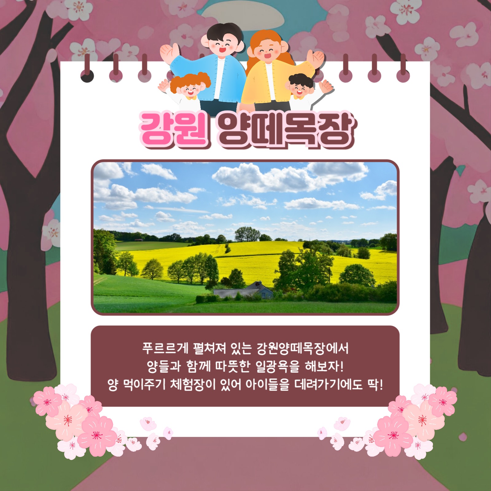 가족 나들이 카드뉴스