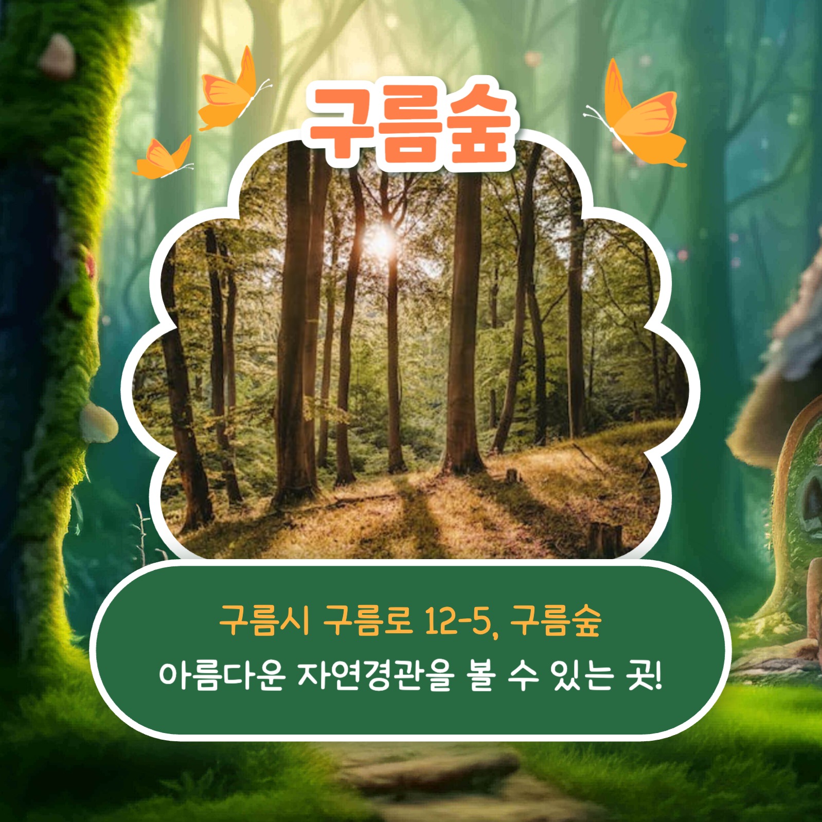 숲 추천 리스트 카드뉴스